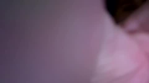 Inked and kinked online show from December 2024 11:50:02 AM