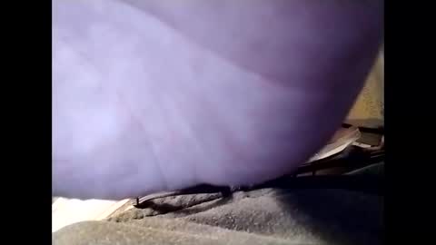 Jaybird online show from December 2024 06:20:02 AM