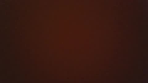 Snapshot of jaybird8 chatting on January 2025 06:45:02 PM jaybird8 online show from January 2025 06:45:02 PM