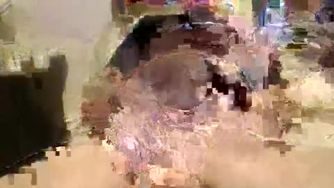 Snapshot of jaybird8 chatting on March 2025 05:22:02 PM jaybird8 online show from March 2025 05:22:02 PM