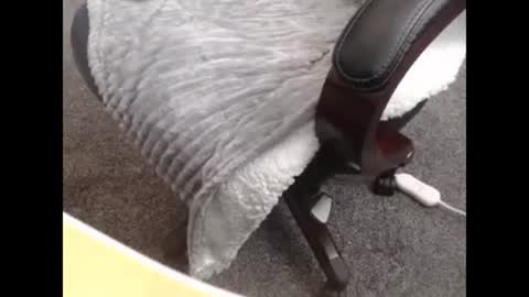 sissy gurl online show from October 2025 10:14:02 PM