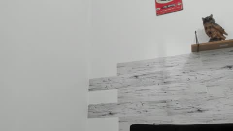 Jaycreedd online show from November 2025 05:51:02 PM