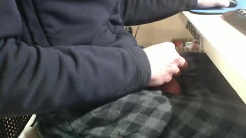 Snapshot of jc200000 chatting on January 2025 06:07:01 PM jc200000 online show from January 2025 06:07:01 PM