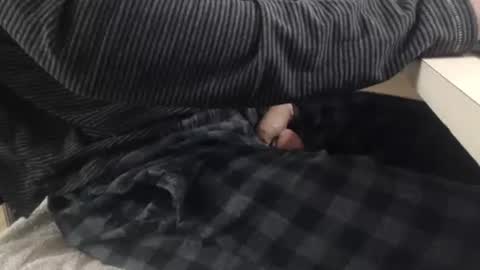 Snapshot of jc200000 chatting on November 2025 06:31:01 PM jc200000 online show from November 2025 06:31:01 PM