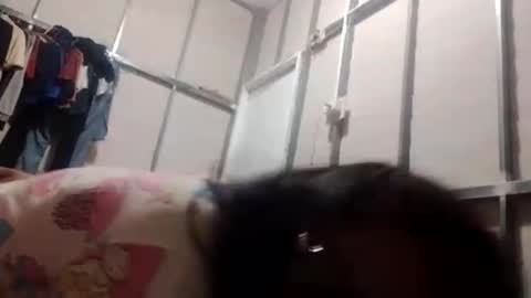 Snapshot of jcineylpnezy chatting on October 2025 10:21:01 PM jcineylpnezy online show from October 2025 10:21:01 PM