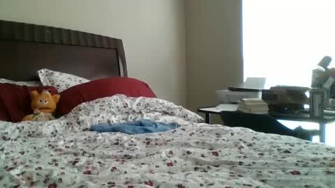 Jennibean6996 online show from September 2025 01:49:01 PM