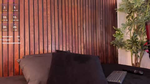     online show from February 2025 06:06:01 PM