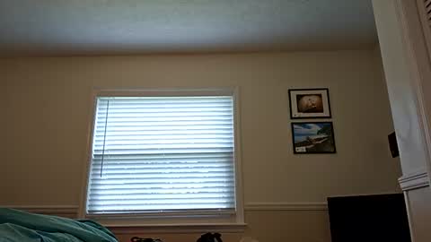 Snapshot of jerilynn chatting on July 2026 09:11:01 PM Jeri Lynn online show from July 2026 09:11:01 PM