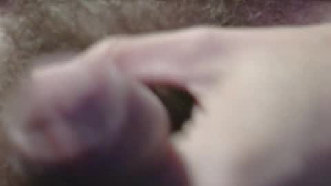 Snapshot of jerkingtyce chatting on May 2026 03:12:01 AM jerkingtyce online show from May 2026 03:12:01 AM