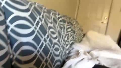 Snapshot of jerkstar16 chatting on December 2024 06:00:02 PM Jerkstar16 online show from December 2024 06:00:02 PM