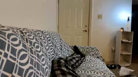 Snapshot of jerkstar16 chatting on February 2025 05:20:02 AM Jerkstar16 online show from February 2025 05:20:02 AM