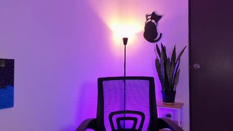 Jero Harper online show from April 2026 07:41:01 PM