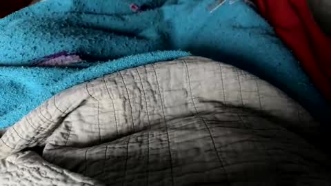 Snapshot of jerswill chatting on December 2024 02:34:02 PM Jeremys room chill and puff one enjoy online show from December 2024 02:34:02 PM