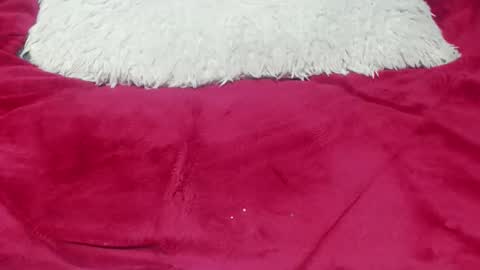 jessy online show from November 2025 12:43:02 AM