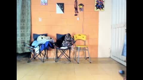 Jharol  online show from March 2026 07:14:02 AM