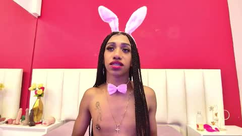 jhon online show from November 2025 12:48:02 PM