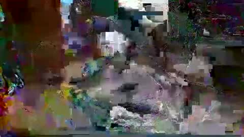 jimm83323458 online show from October 2025 02:23:02 AM