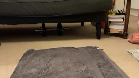 Snapshot of jinker2002 chatting on December 2024 05:22:01 PM jinker2002 online show from December 2024 05:22:01 PM