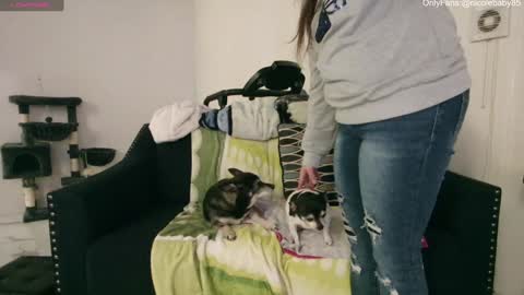 Snapshot of jjjust4fun1985 chatting on December 2024 02:30:02 AM Nicole Allen online show from December 2024 02:30:02 AM