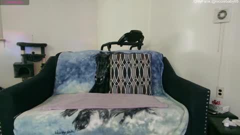 Snapshot of jjjust4fun1985 chatting on December 2024 01:55:02 AM Nicole Allen online show from December 2024 01:55:02 AM