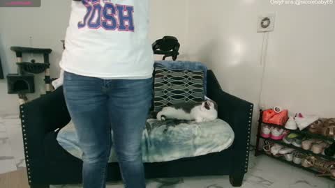 Snapshot of jjjust4fun1985 chatting on December 2024 02:17:01 AM Nicole Allen online show from December 2024 02:17:01 AM