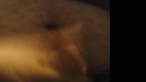 Snapshot of jkburrows035 chatting on February 2026 06:25:02 AM firejoepro2 online show from February 2026 06:25:02 AM