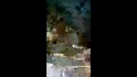 jmg2026 online show from March 2026 04:44:02 PM