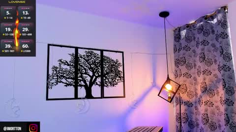 Snapshot of jmortton chatting on February 2025 02:13:02 PM IGJmortton online show from February 2025 02:13:02 PM