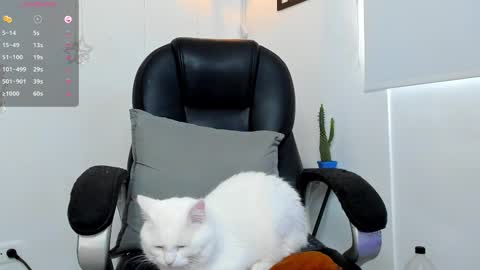 Snapshot of jmortton chatting on December 2025 02:33:02 PM IGJmortton online show from December 2025 02:33:02 PM