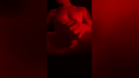 Snapshot of joaodopicao chatting on February 2026 11:54:01 PM joaodopicao online show from February 2026 11:54:01 PM