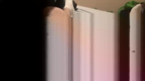 jocmyv9wokry online show from February 2026 11:54:01 AM