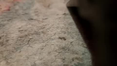 joemancini643 online show from September 2025 02:13:02 AM