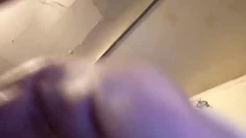 joemomma612 online show from November 2025 01:54:02 PM