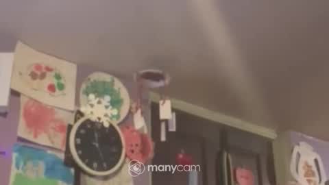 Snapshot of johnnyshung1 chatting on December 2024 09:57:02 AM johnnyshung1 online show from December 2024 09:57:02 AM