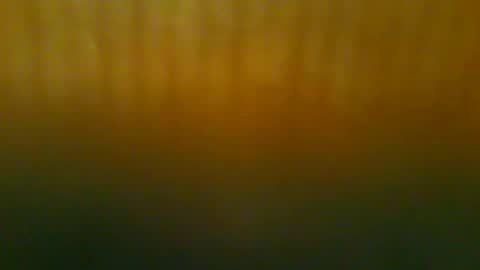 Snapshot of johnnyshung1 chatting on December 2025 11:50:01 AM johnnyshung1 online show from December 2025 11:50:01 AM