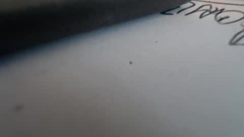 johnnyssunshine online show from October 2025 02:35:02 PM