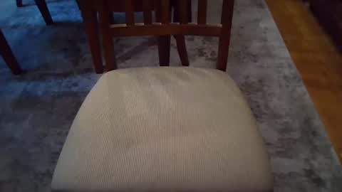 Snapshot of johnxxx549 chatting on November 2025 03:46:02 PM johnxxx549 online show from November 2025 03:46:02 PM