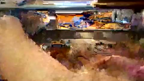 johnyfdee online show from July 2026 03:14:02 PM
