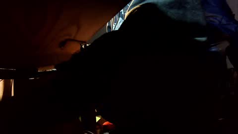 Snapshot of jontn_swift chatting on December 2024 05:53:02 AM Jonathon Swift online show from December 2024 05:53:02 AM