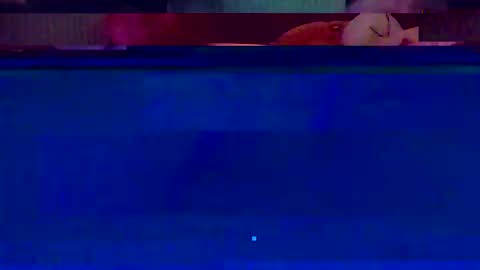 jooshi1981 online show from February 2026 05:13:02 AM