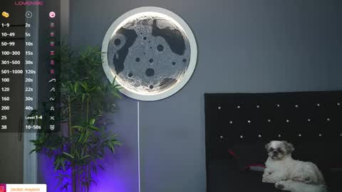 Jordan online show from April 2026 09:12:01 AM