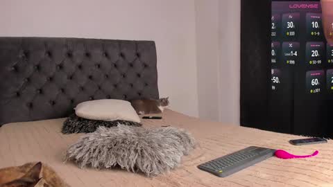 Will online show from December 2024 11:37:02 PM