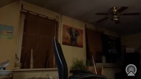 jott604214 online show from March 2026 08:23:02 PM