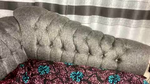 Butterflyass online show from March 2026 03:12:02 AM