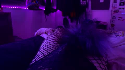 jrod11229 online show from October 2025 02:30:02 AM