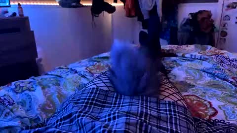 jrod11229 online show from October 2025 02:15:01 AM