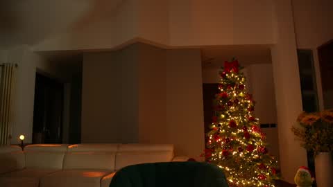 Jennifer Diaz online show from December 2024 08:37:01 PM