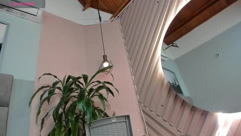 Juana online show from March 2026 11:37:01 AM