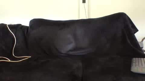 juanmamestre94 online show from February 2026 02:39:01 PM