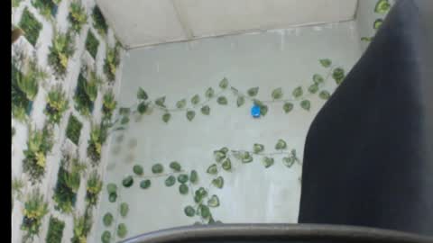 Snapshot of juicy_gold22 chatting on February 2025 01:19:01 AM Mariagold online show from February 2025 01:19:01 AM